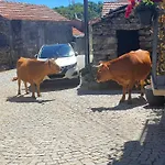 Casa Fina Sao Pedro do Sul