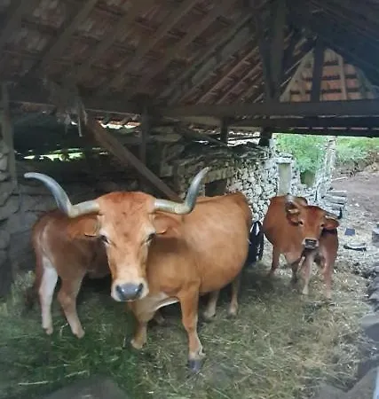 Tatil Evi Casa Fina *