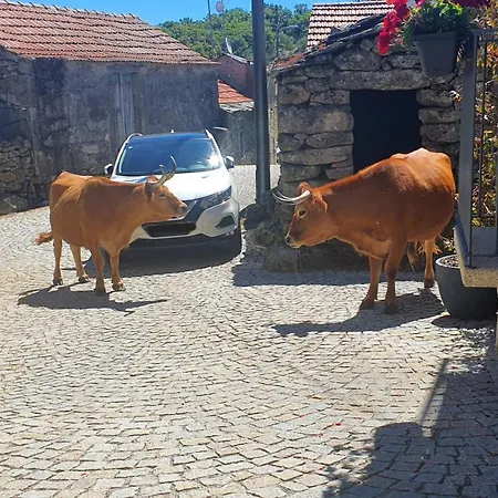 Casa Fina São Pedro do Sul