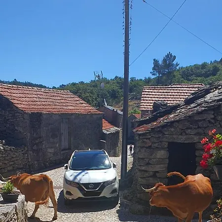Tatil Evi Casa Fina São Pedro do Sul