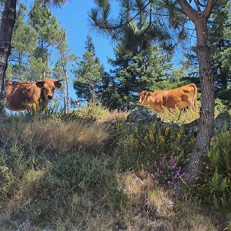 Casa Fina Dom wakacyjny