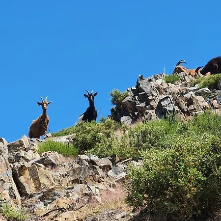 Casa Fina Tatil Evi *