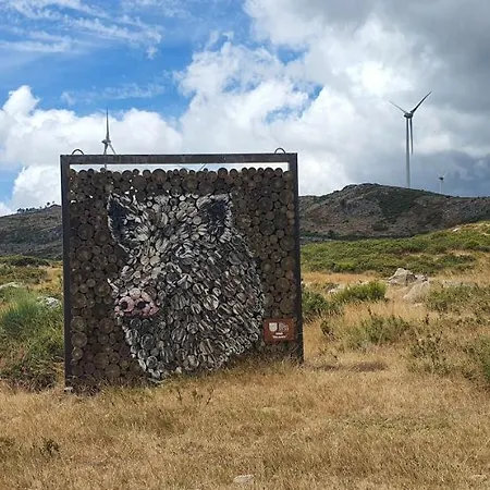 Casa Fina * São Pedro do Sul