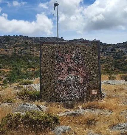 Tatil Evi Casa Fina São Pedro do Sul