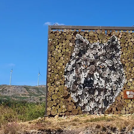 Casa Fina Dom wakacyjny São Pedro do Sul
