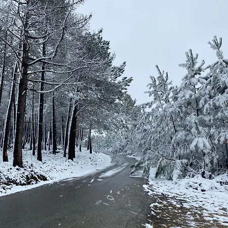 Casa Fina São Pedro do Sul