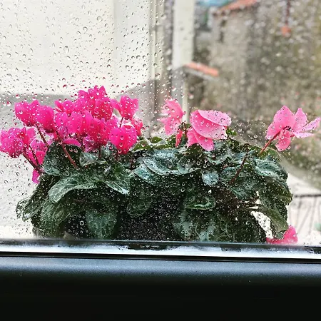 Casa Fina Tatil Evi *